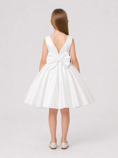 Princess Sleeveless Tutu Dress ALP813 for Performances back view