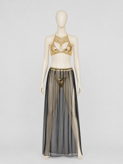 Cleopatra Costume with Sequins and a Sheer Skirt with a Slit back view