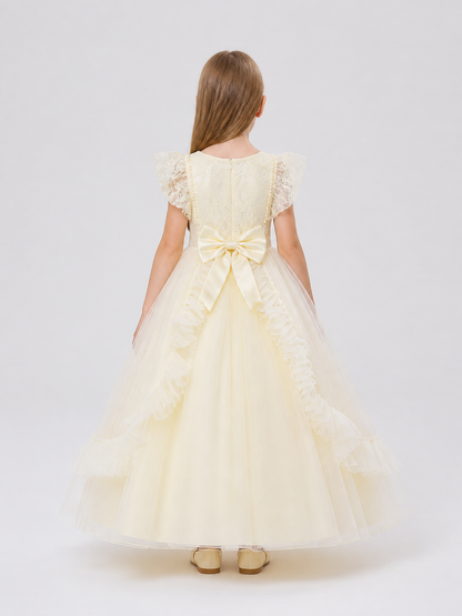 Full-Length Princess Dress with a Lace Bodice back view
