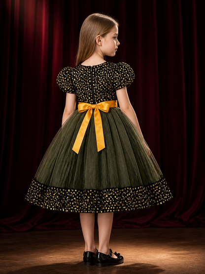 Baby Girls' Sequined Princess Dress with 3D Flowers and Tulle Skirt back view