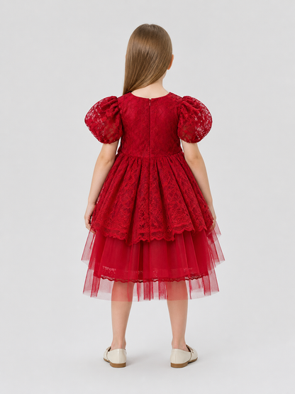 Festive Princess Dress with Lace and Full Skirt back view