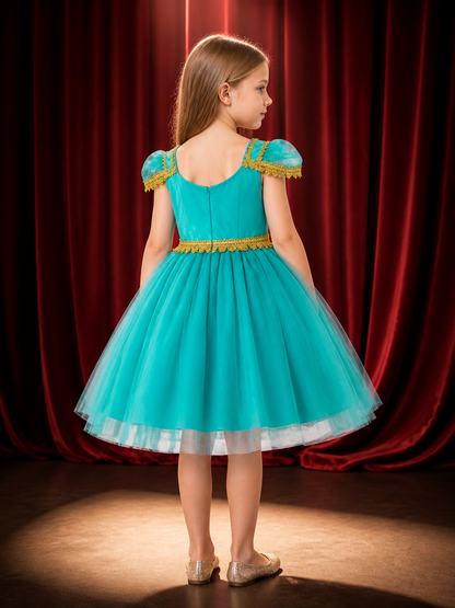Girls' Princess Costume Dress With Sequined Bodice, Gold Trim And Tulle Skirt back view