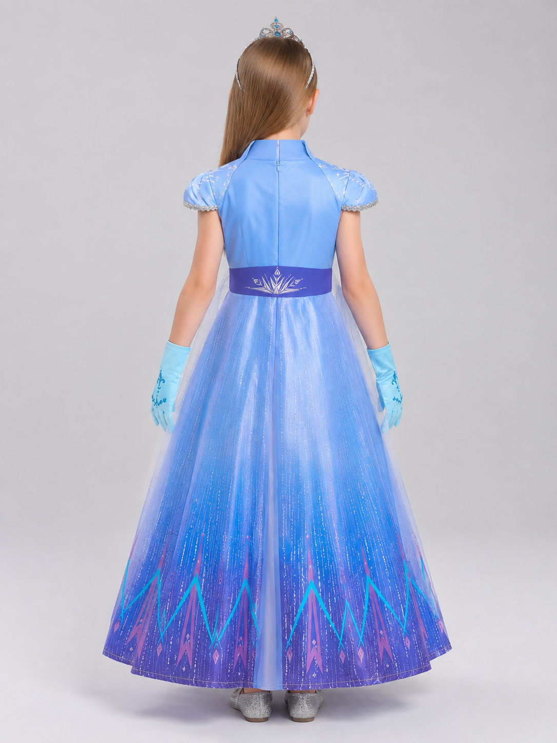 Costume Dress with a Full Layered Skirt back view