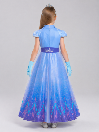 Costume Dress with a Full Layered Skirt back view