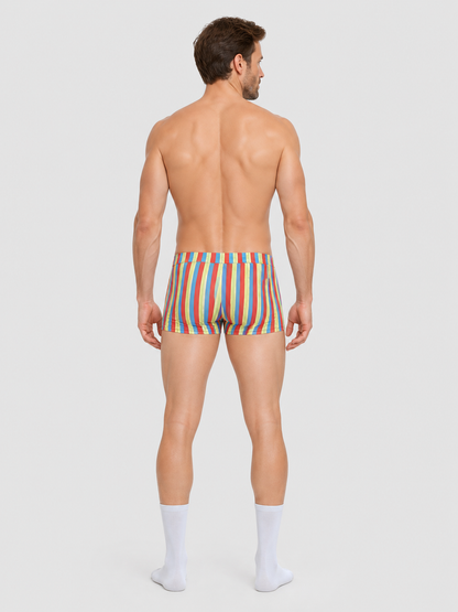 Carnival Shorts with Multicolored Stripes back view