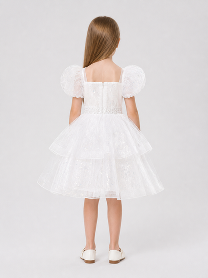 Festive Dress with Sequins, Lace, and Mesh
