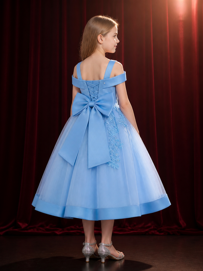 Baby Girls' Sky Blue Princess Dress with Beaded Floral Embroidery and Tulle back view