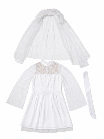Wedding costume dress with veil for a celebration