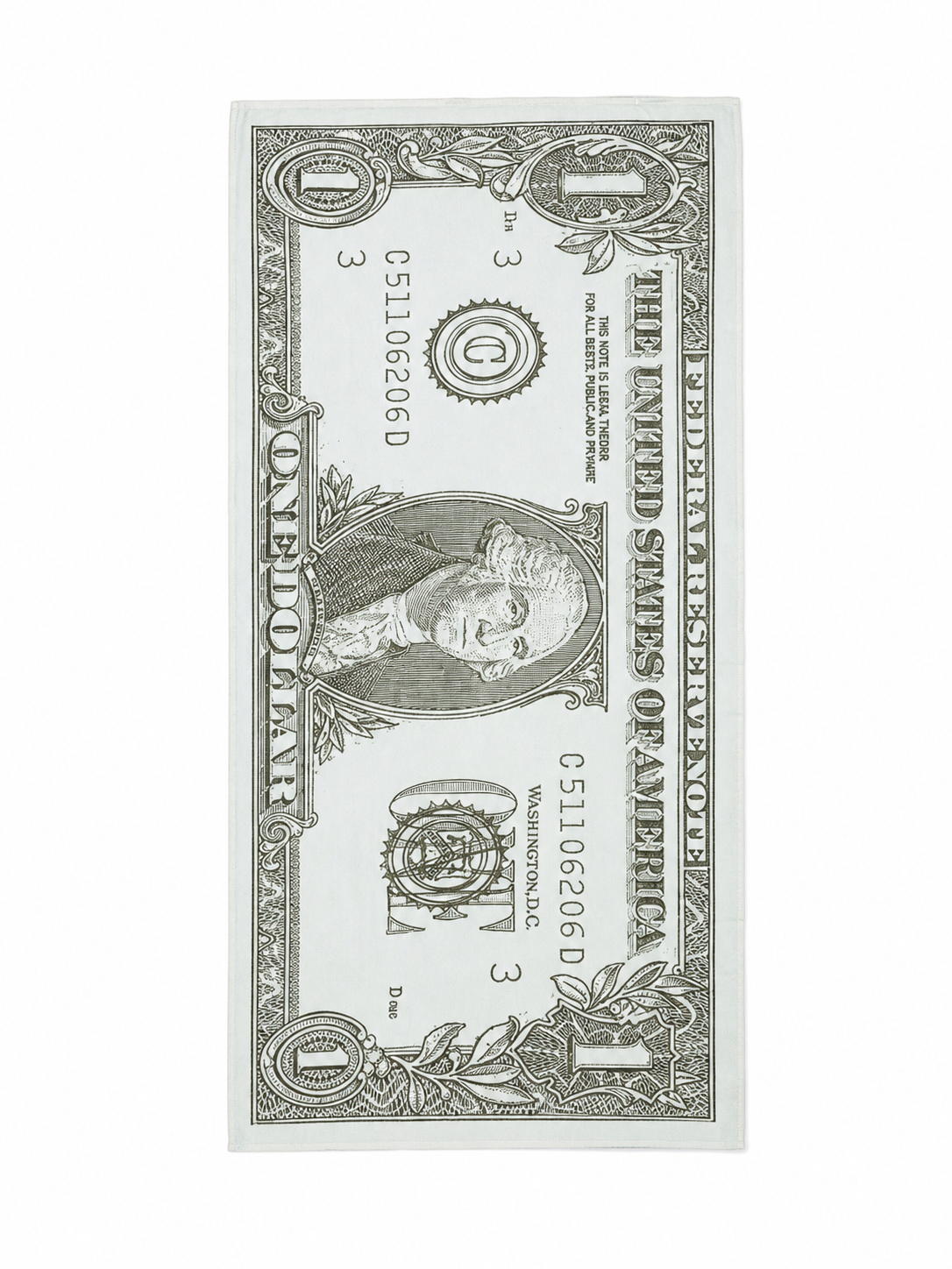 Large Dollar Bill Costume