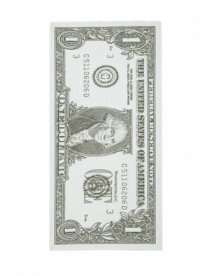 Large Dollar Bill Costume