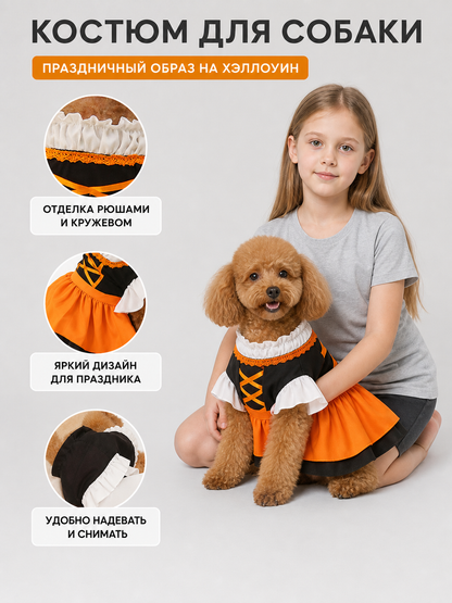 Pet Costume Dress, Orange Oktoberfest Style