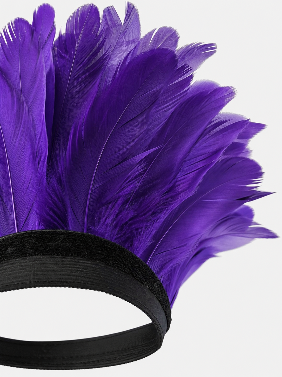 Carnival Headdress with Feathers and Mask