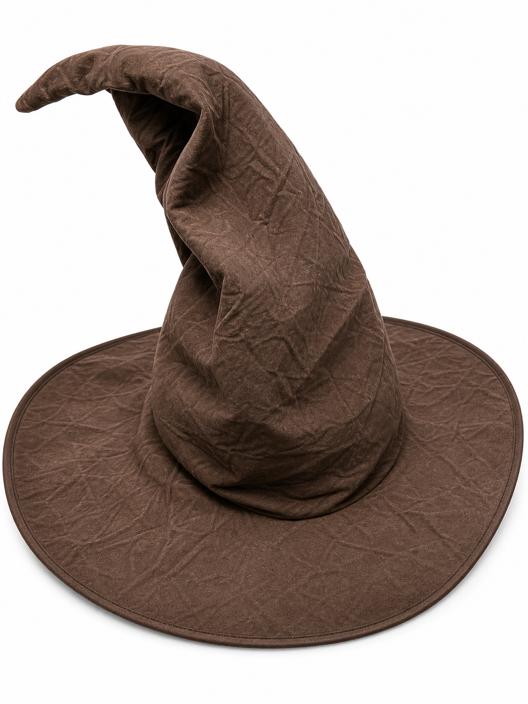 Carnival Witch Hat with Wide Brim