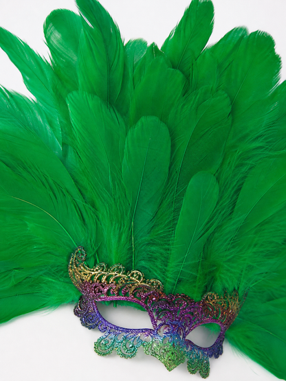Carnival feather headdress with mask