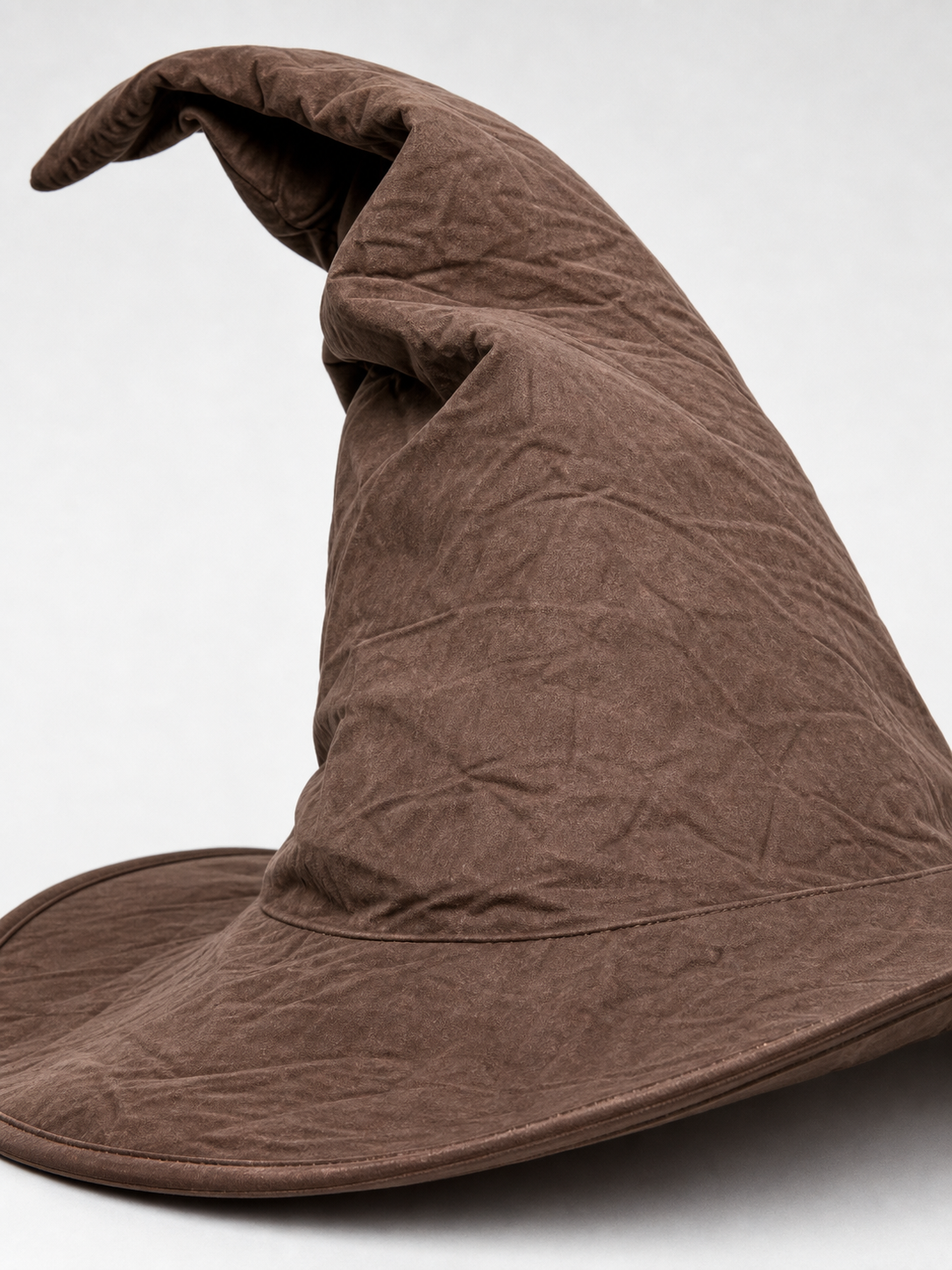 Carnival Witch Hat with Wide Brim