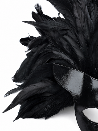 Black Feather Mask for Carnival and Halloween