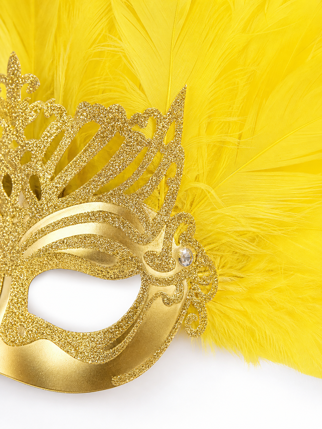 Carnival Headpiece with Feathers and Gold Decoration