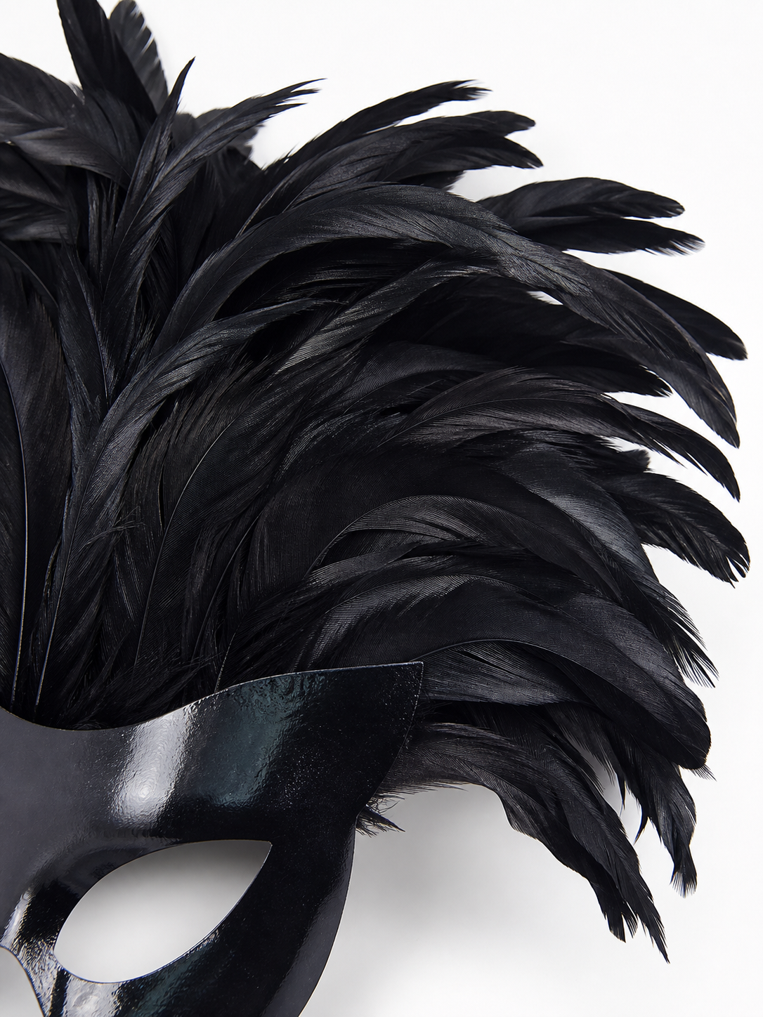 Black Feather Mask for Carnival and Halloween