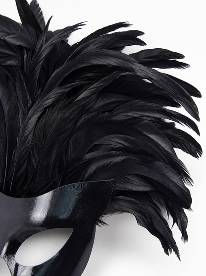 Black Feather Mask for Carnival and Halloween