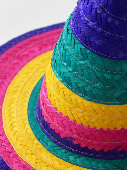 Purple Wide-Brim Carnival Hat