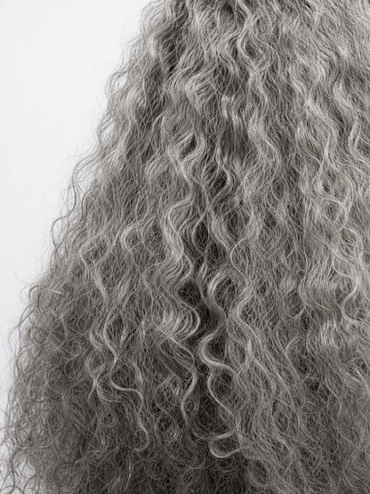 Carnival Wig with Beard for a Wizard Costume