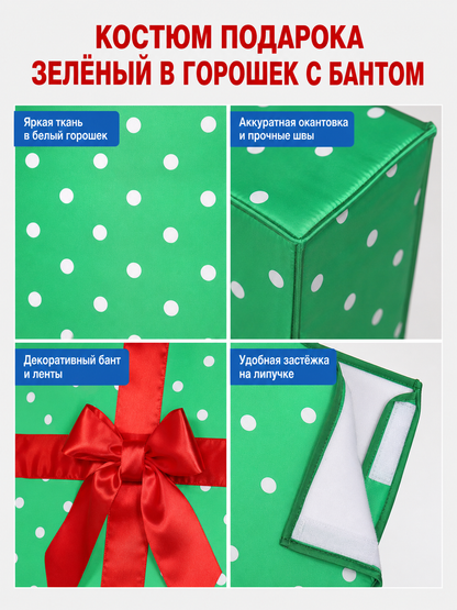 New Year’s Gift Box Costume with Red Bow