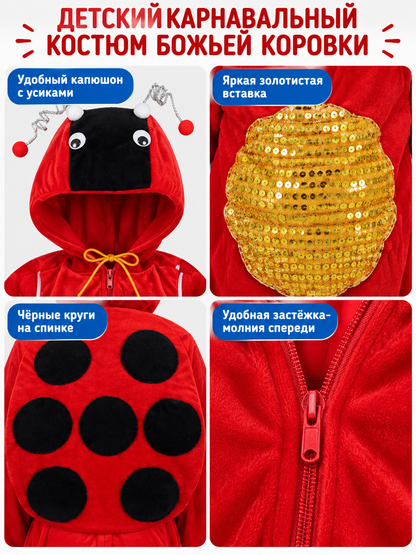 Kids' Ladybug Costume