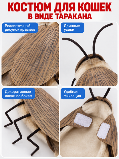 Cat Cockroach Costume with Wings and Antennae