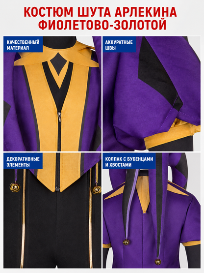 Theatrical Jester-Style Clown Costume