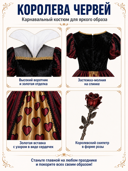 Stage Costume with Full Skirt, Sleeves, and Lace detail view