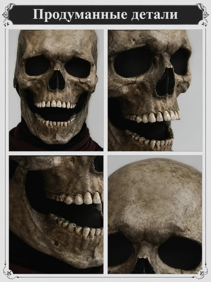 Halloween and Cosplay Skull Carnival Mask detail view