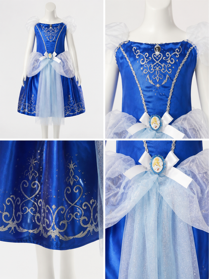 Blue Princess Costume with Silver Pattern detail view