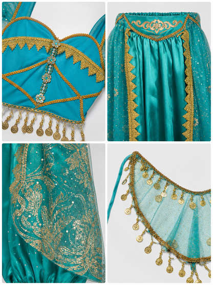 Belly Dance Costume with Veil and Accessories