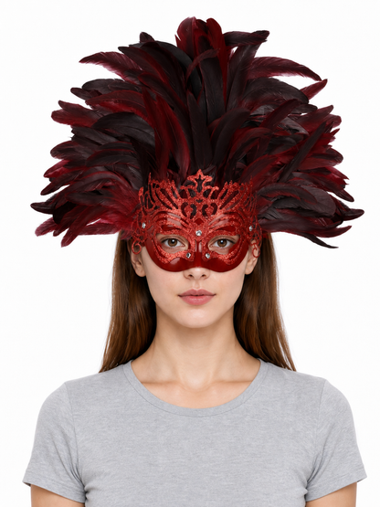 Carnival headpiece with feathers and mask