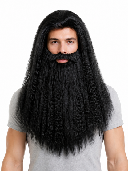 Black Wizard Wig and Beard for Halloween