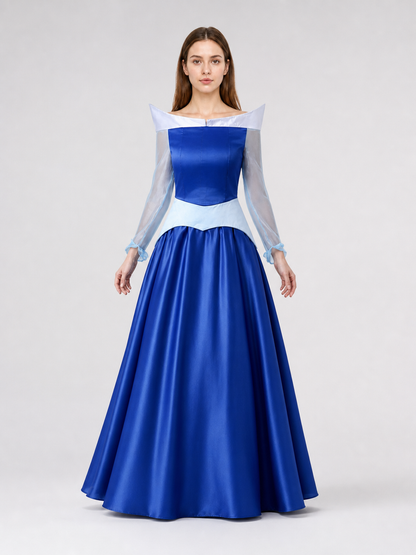 Princess Costume Dress for a Festive Look