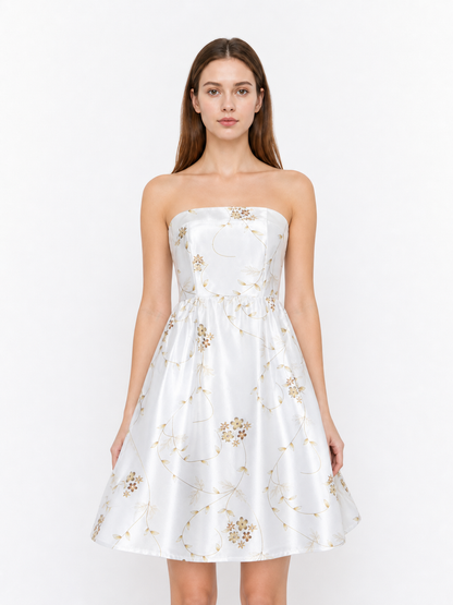 The Princess Diaries Cosplay Dress with Gloves