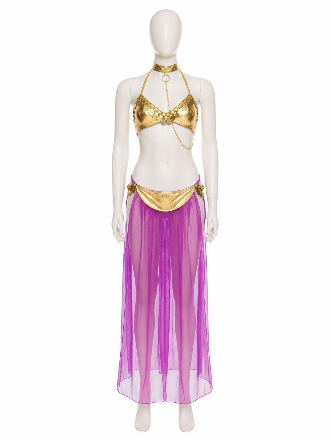 Adult Egyptian Queen Two-Piece Costume, Purple Sheer Skirt and Gold-Decorated Costumes detail 2