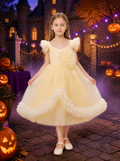 Baby Girls' Champagne Princess Flower Girl Dress, Ruffled Floral Embroidery Gown Costume Dresses detail 2
