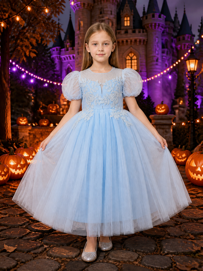 Girls' Light Blue Princess Dress with Puff Sleeves and Floral Embroidery Costume Dresses detail 2