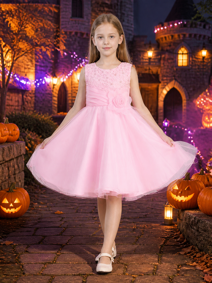 Girls' Pink Princess Dress, Sleeveless Layered Tulle Formal Dress Costume Dresses detail 2