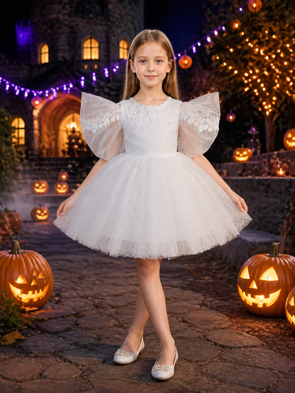 Baby Girls' White Princess Dress, Glitter Stripe Tulle Gown With Lace Appliques Costume Dresses detail 2