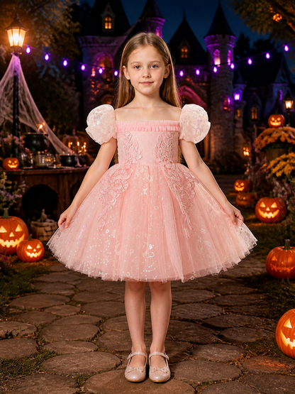 Toddler Girls' Sequined Embroidered Tulle Princess Dress Costume Dresses detail 2