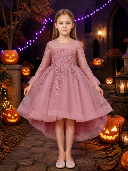 Girls' Princess Formal Dress, Long Sleeve Floral Embroidered Layered Tulle Skirt Costume Dresses detail 2