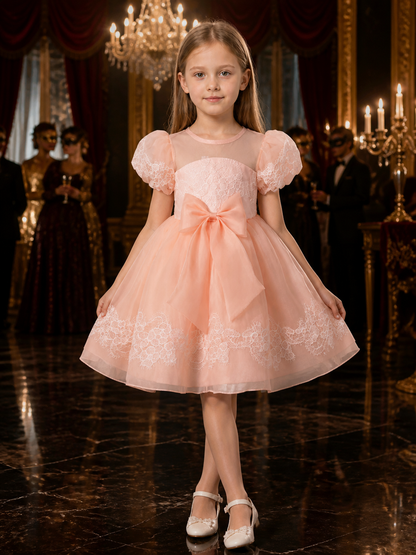 Girls' Pink Princess Dress with Lace Trim, Large Bow, and Puff Sleeves Costume Dresses detail