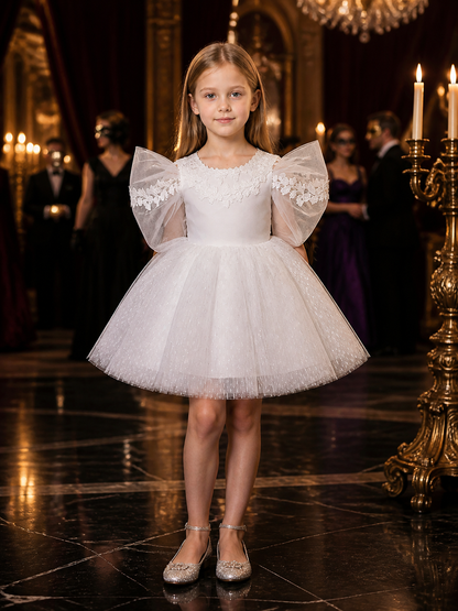 Baby Girls' White Princess Dress, Glitter Stripe Tulle Gown With Lace Appliques Costume Dresses detail