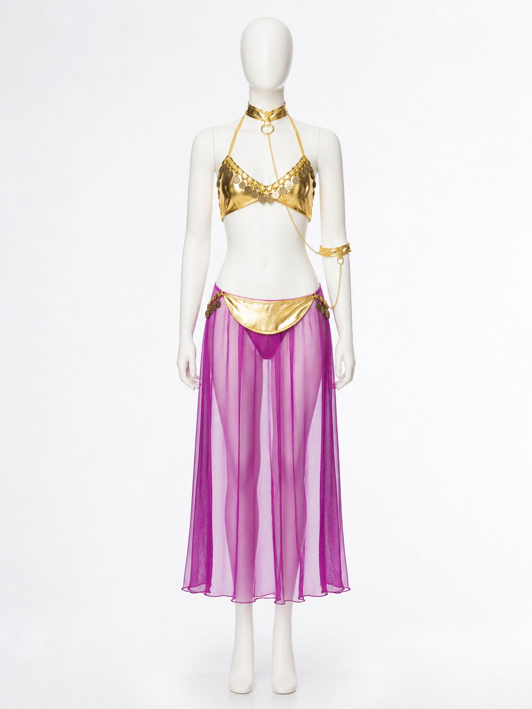 Adult Egyptian Queen Two-Piece Costume, Purple Sheer Skirt and Gold-Decorated Costumes detail