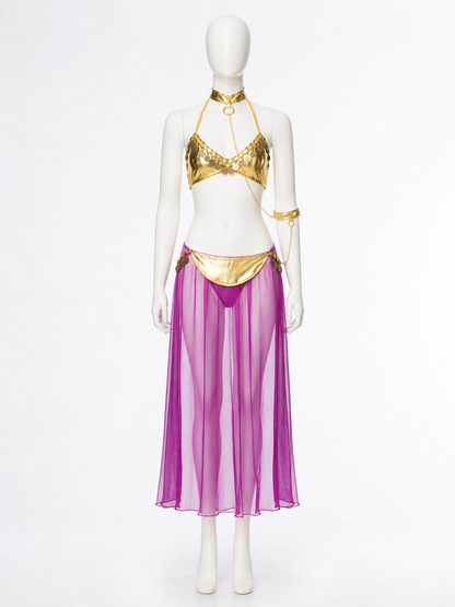 Adult Egyptian Queen Two-Piece Costume, Purple Sheer Skirt and Gold-Decorated Costumes detail