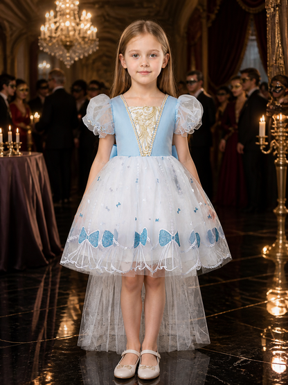 Girls' Sky Blue Princess Dress With Gold Pattern, Puff Sleeves, Layered Organza Costume Dresses detail