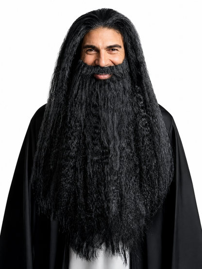 Black Wizard Wig and Beard for Halloween